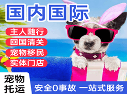 双流航空快递国际宠物托运 【国
